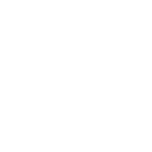 Conferenza Area 13